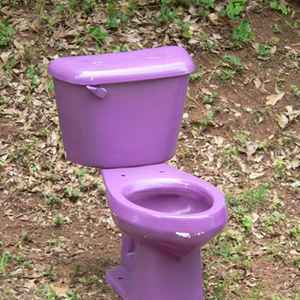Portland is accusing a company of infringing on the city's copyright, as well as harming the city's efforts to sell outdoor bathrooms.