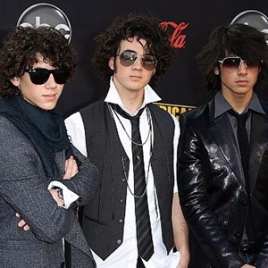 The Jonas Brothers were sued by a concertgoer.